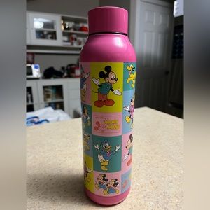 Stainless steel Mickey & friends water bottle